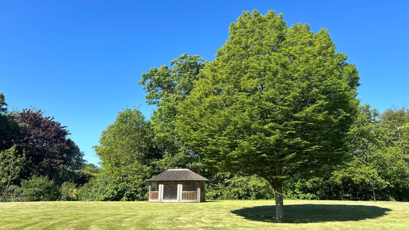 Lawn
