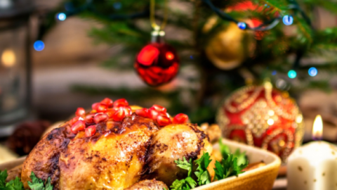 Untitled-design8-750×341-fp_mm-fpoff_0_0