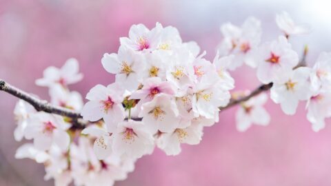 Untitled design – 1