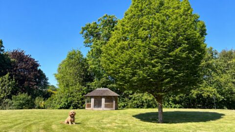 Untitled design – 1